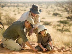 What to Do & See | Kathu